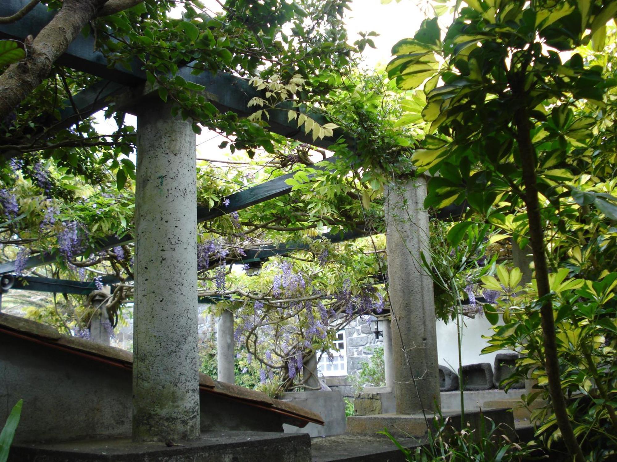 Quinta Das Buganvilias Castelo Branco  Exteriör bild