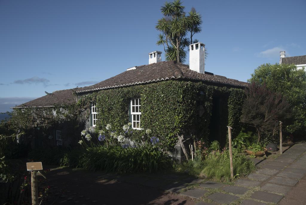 Quinta Das Buganvilias Castelo Branco  Exteriör bild